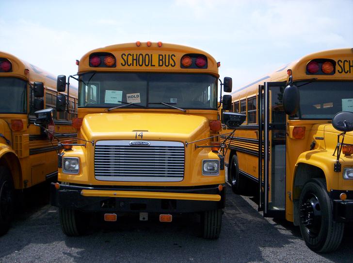 freightliner bluebird school bus